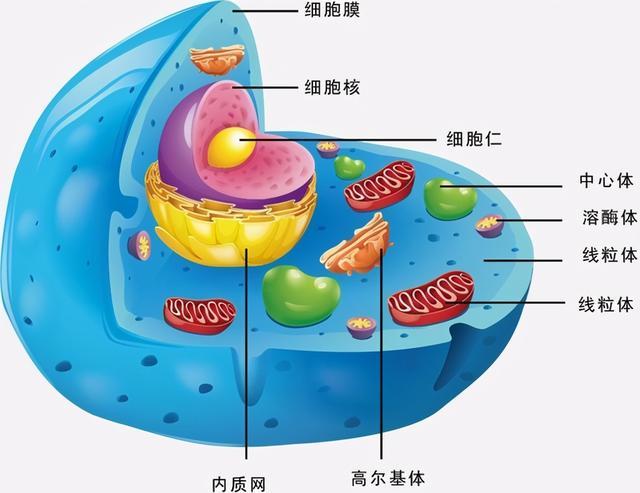 生物立场全流程攻略及技巧指南_生物立场最新玩法解析
