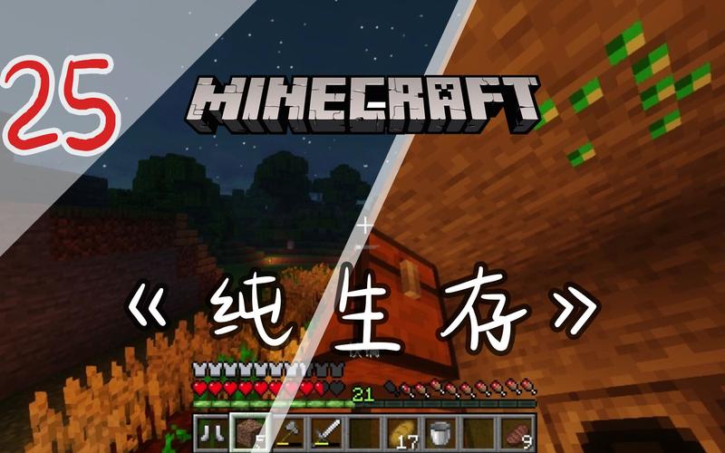 生存道全流程攻略秘籍_生存道高手进阶技巧指南