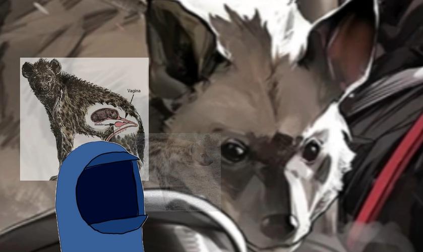 瑞柏巴最全游戏攻略解说_瑞柏巴最新游戏技巧通关