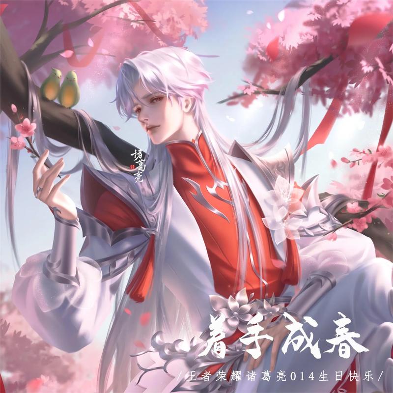 王者荣耀诸葛亮最全游戏攻略解说_王者荣耀诸葛亮最新游戏技巧通关