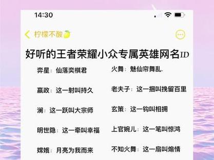 王者游戏名女生最全攻略解说_王者游戏名女生最新技巧通关