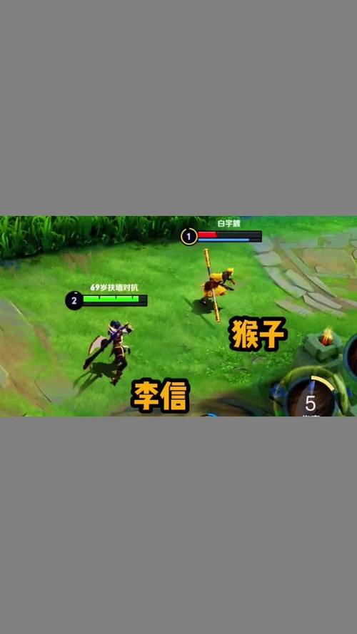 王者李信最全游戏攻略解说_王者李信最新游戏技巧通关