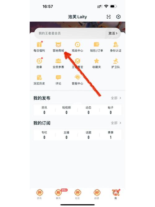 王者充值最全攻略解说_王者充值最新技巧与优惠