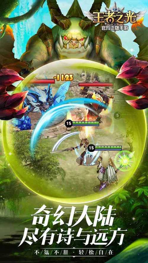 王者之光最全游戏攻略解说_王者之光最新游戏技巧通关