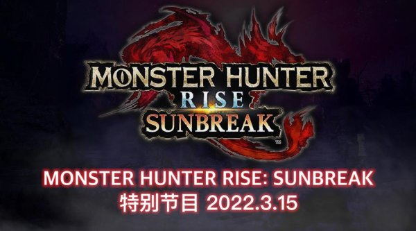 王域最全游戏攻略解说_王域最新游戏技巧通关