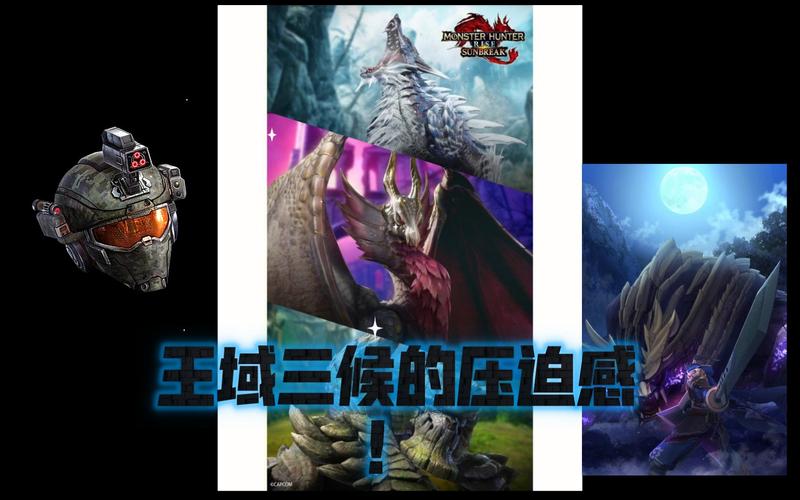 王域最全游戏攻略解说_王域最新游戏技巧通关