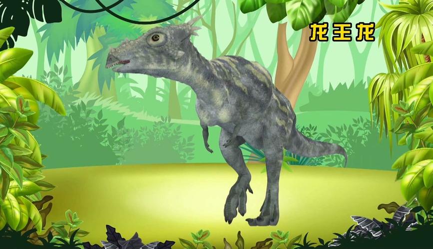 王国龙最全游戏攻略解说_王国龙最新游戏技巧通关