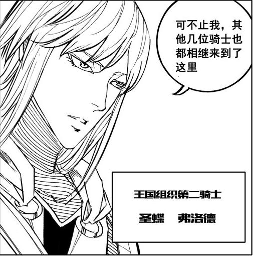 王国组织十大骑士全角色攻略解说_王国组织十大骑士最新技巧通关