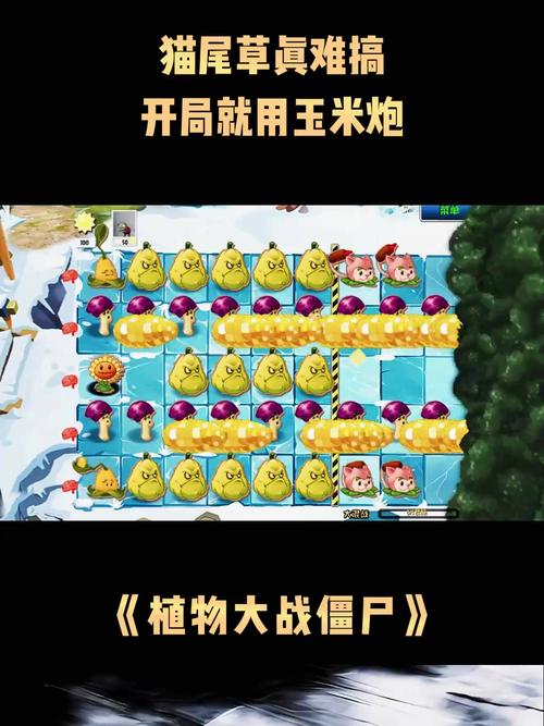 玉米大炮最全游戏攻略解说_玉米大炮最新游戏技巧通关