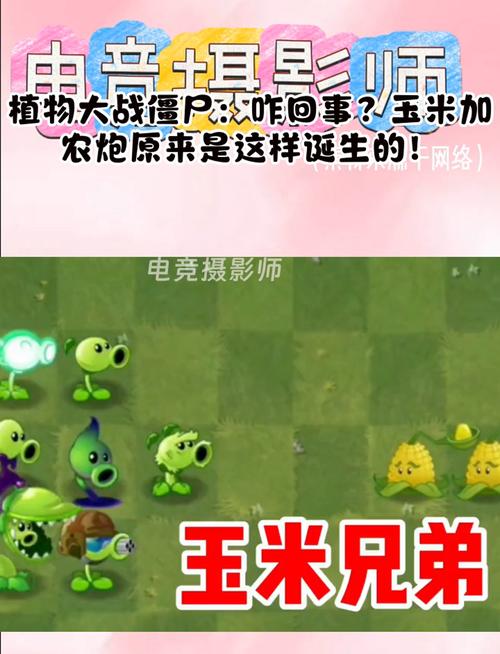 玉米加农炮僵尸最全游戏攻略解说_玉米加农炮僵尸最新游戏技巧通关