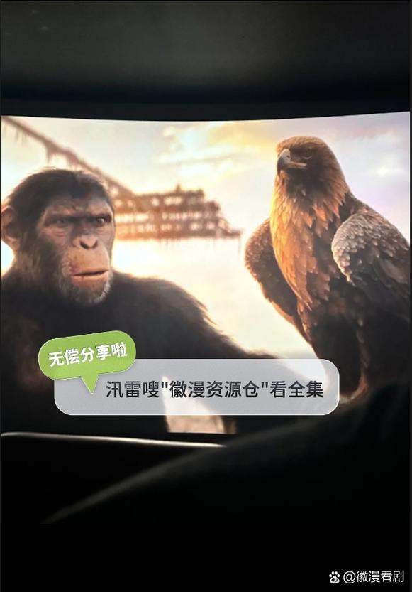 猴哥影院最全观影攻略解说_猴哥影院最新影片获取技巧