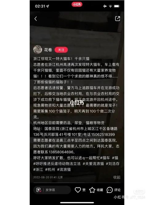 猫车最全游戏攻略解说_猫车最新游戏技巧通关