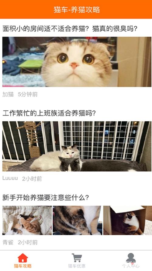 猫车最全游戏攻略解说_猫车最新游戏技巧通关