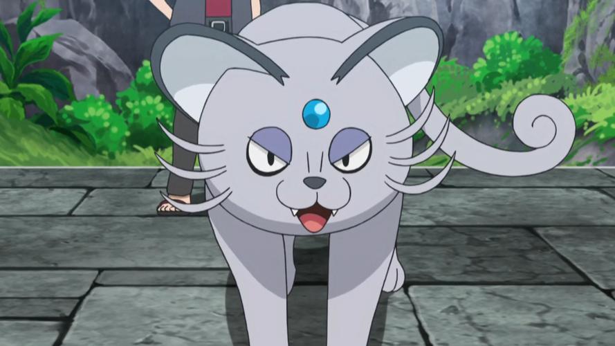 猫老大最全游戏攻略解说_猫老大最新游戏技巧通关