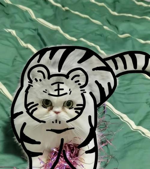 猫猫虎最全游戏攻略解说_猫猫虎最新游戏技巧通关