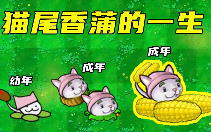 猫尾香蒲最全游戏攻略解说_猫尾香蒲最新游戏技巧通关