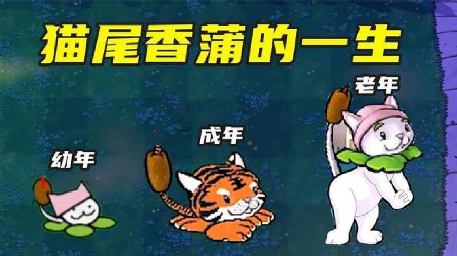 猫尾香蒲最全游戏攻略解说_猫尾香蒲最新游戏技巧通关