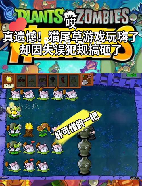 猫尾草最全游戏攻略解说_猫尾草最新游戏技巧通关