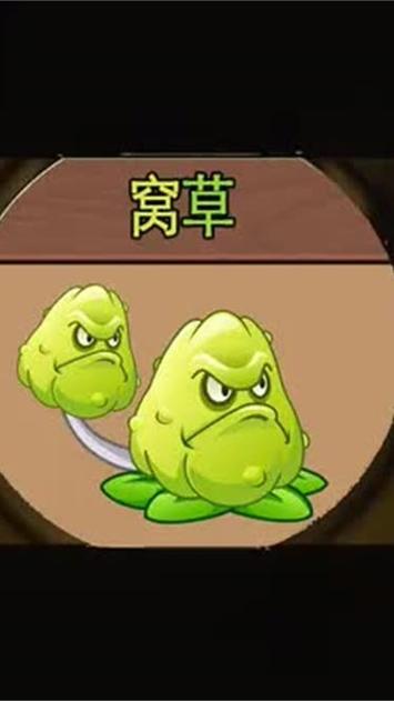 猫尾草最全游戏攻略解说_猫尾草最新游戏技巧通关