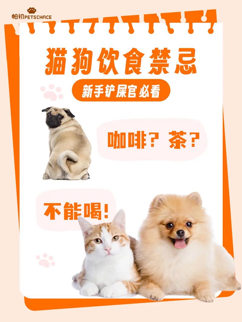 猫咪咖啡厅最全经营攻略_猫咪咖啡厅最新趣味玩法指南