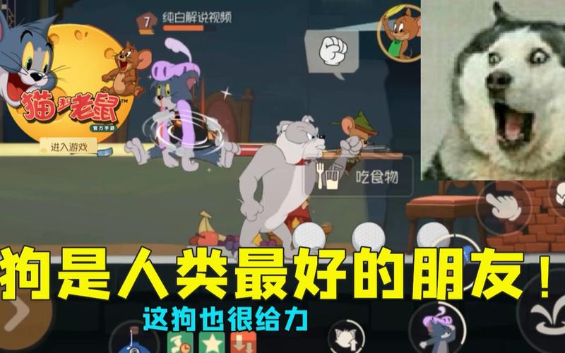 猫和老鼠狗最全游戏攻略解说_猫和老鼠狗最新游戏技巧通关