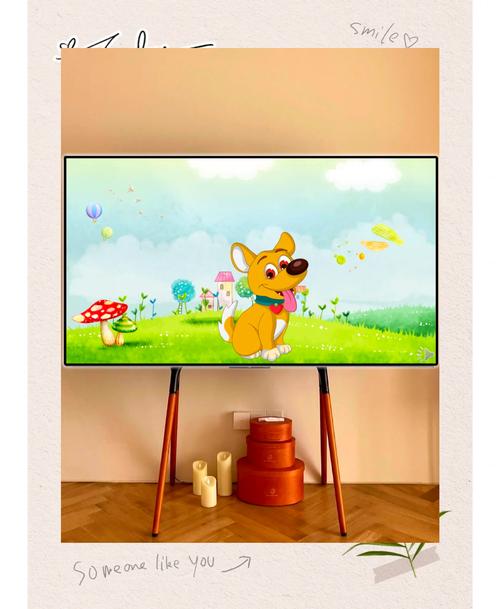 猜猜我在哪最全游戏攻略解说_猜猜我在哪最新游戏技巧通关