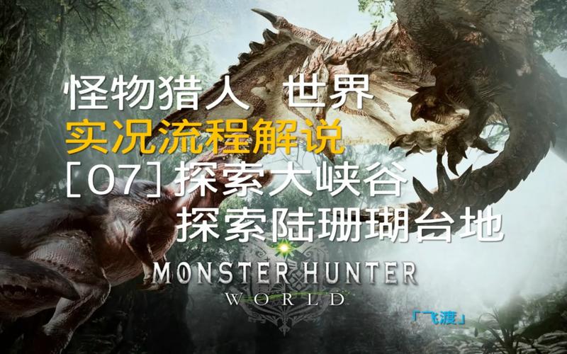 猎人最全游戏攻略解说_猎人最新游戏技巧通关