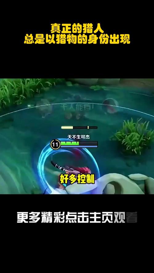 猎人与猎物最全游戏攻略解说_猎人与猎物最新游戏技巧通关