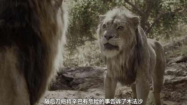 狮王辛巴最全游戏攻略解说_狮王辛巴最新游戏技巧通关