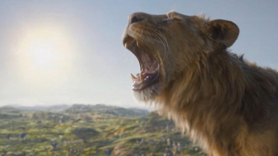 狮子王4最全游戏攻略解说_狮子王4最新游戏技巧通关