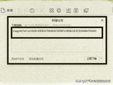 特征码最全游戏攻略解说_特征码最新游戏技巧通关