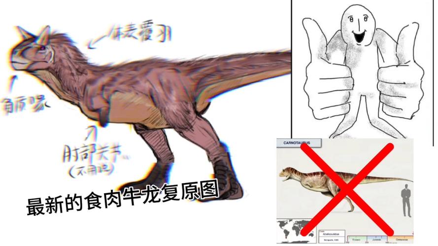 牛龙游戏最全攻略解说_牛龙游戏最新技巧通关