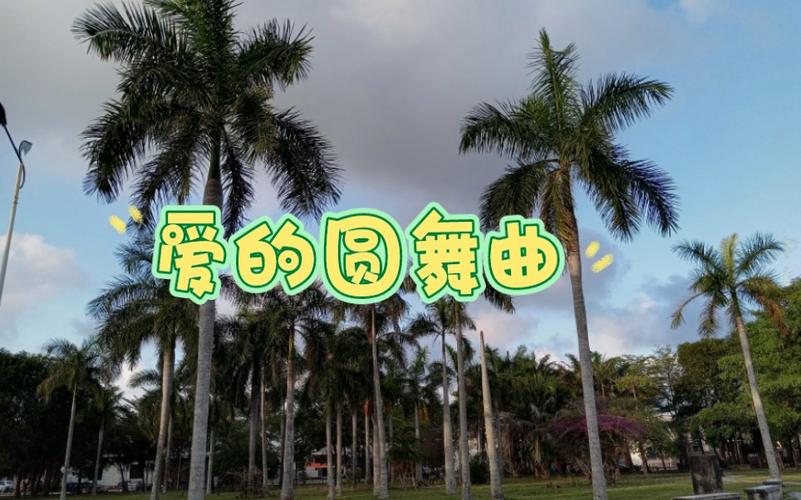 爱的圆舞曲最全游戏攻略解说_爱的圆舞曲最新游戏技巧通关