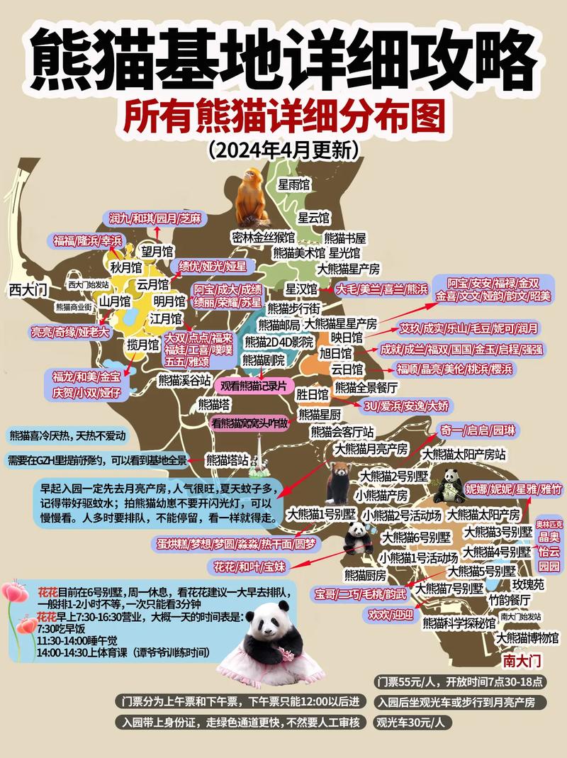 熊猫游戏最全游戏攻略解说_熊猫游戏最新游戏技巧通关