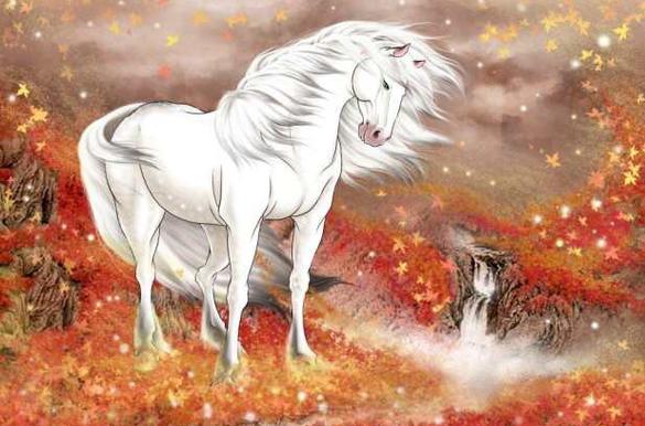 照夜玉狮子最全游戏攻略解说_照夜玉狮子最新游戏技巧通关