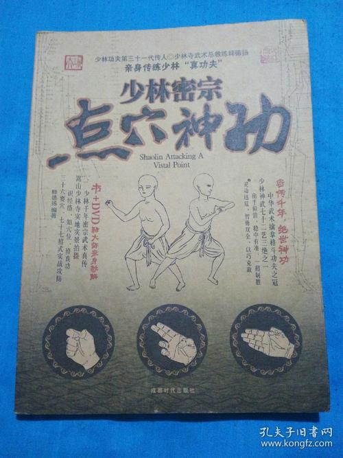 点穴神功最全游戏攻略解说_点穴神功最新游戏技巧通关