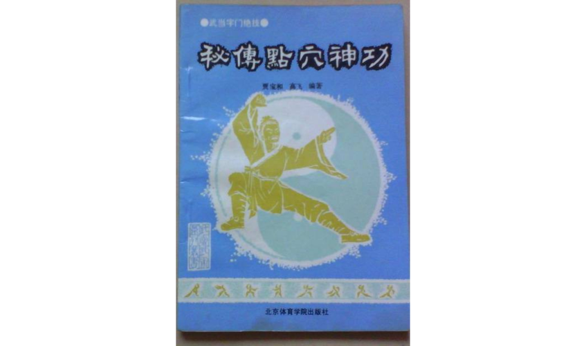 点穴神功最全游戏攻略解说_点穴神功最新游戏技巧通关