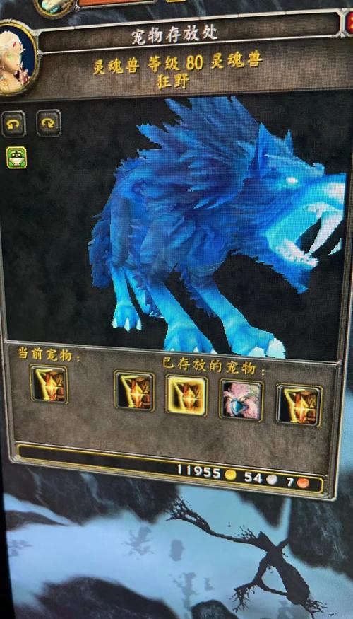 灵魂兽捕捉攻略_灵魂兽获取技巧全解