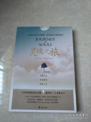 灵魂之旅最全游戏攻略解说_灵魂之旅最新游戏技巧通关