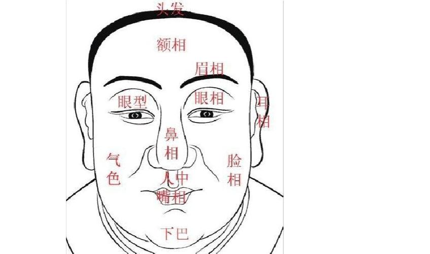 灵相游戏最全攻略解说_灵相游戏最新技巧通关