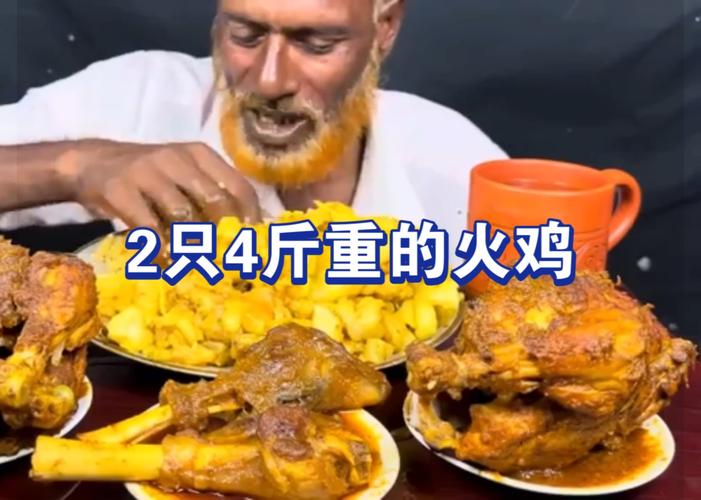 火鸡大餐最全游戏攻略解说_火鸡大餐最新游戏技巧通关