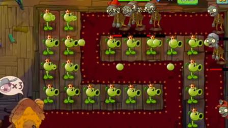 火豌豆游戏攻略解说_火豌豆游戏技巧通关