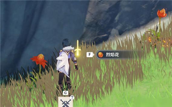 火焰花最全游戏攻略解说_火焰花最新游戏技巧通关