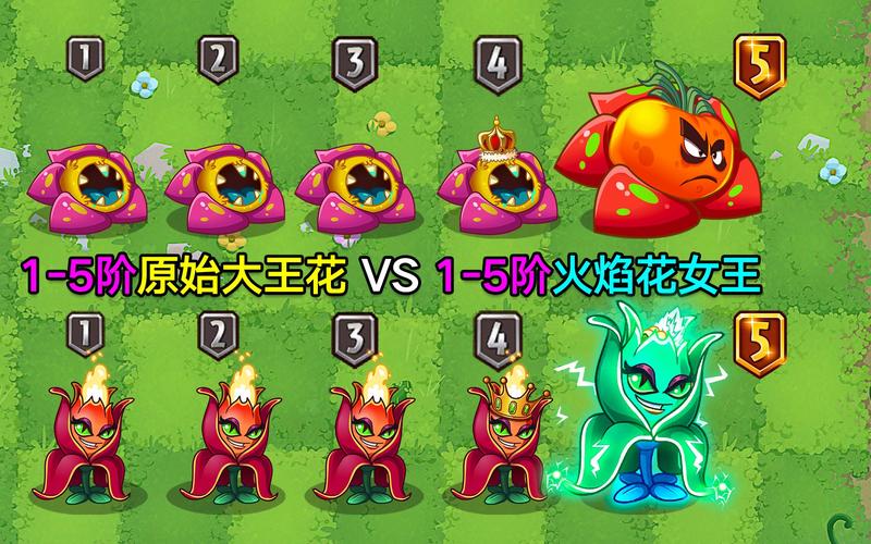 火焰花女王最全游戏攻略解说_火焰花女王最新游戏技巧通关