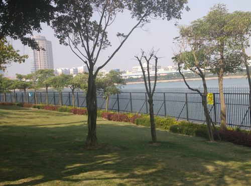 湖边花园最全游戏攻略解说_湖边花园最新游戏技巧通关