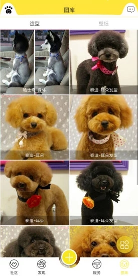 掌心宠物手机版下载_掌心宠物安卓版下载