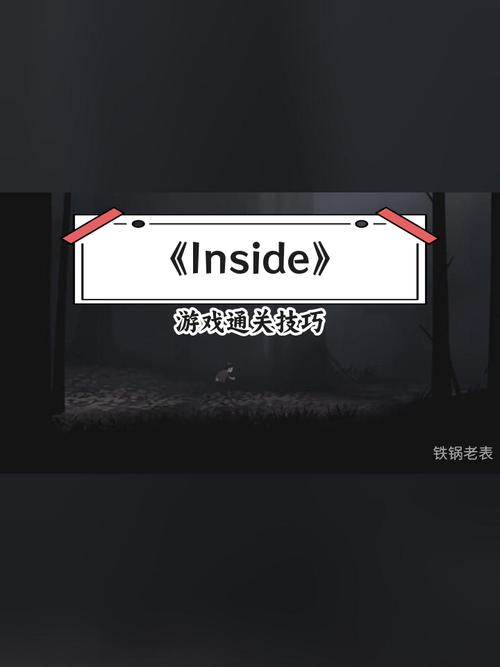 游戏官网全流程攻略解析_游戏官网最新技巧轻松通关