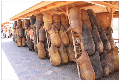 游友全方面攻略解析_游友最新玩法技巧全掌握