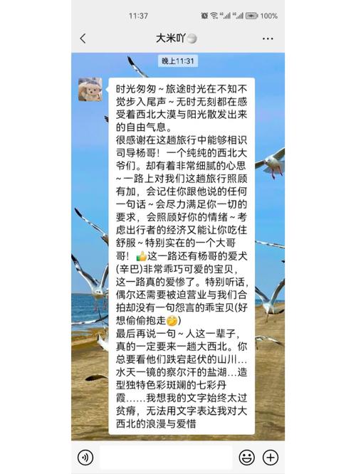 游友全方面攻略解析_游友最新玩法技巧全掌握