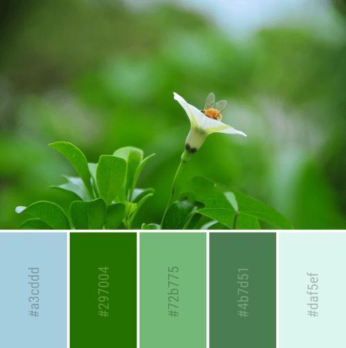 温暖的色彩全通关秘籍_温暖的色彩最新玩法解析